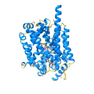 Leucine transporter LeuT in complex with sertraline