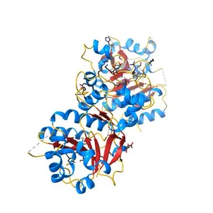 The structure of a protein in glycosyl transferase family 8 from Anaerococcus prevotii.