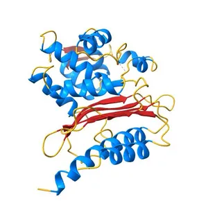 Crystal structure of the class A extended-spectrum beta-lactamase PER- 2