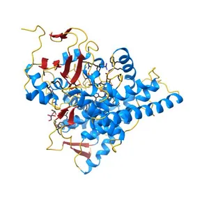 Crystal structure of CYP97C1