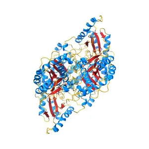 Crystal structure of mouse GADL1