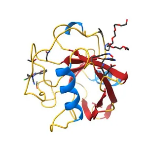 Human Cyclophilin D Complexed with a Fragment