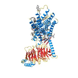 Apo serotonin 1A (5-HT1A) receptor-Gi protein complex
