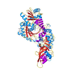 Human Argonaute-2 - miR-20a complex