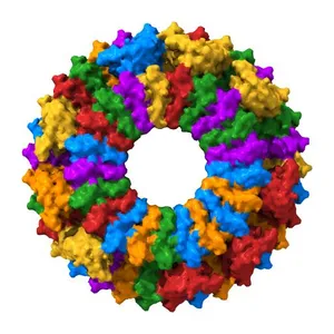 33mer structure of the Salmonella flagella MS-ring protein FliF