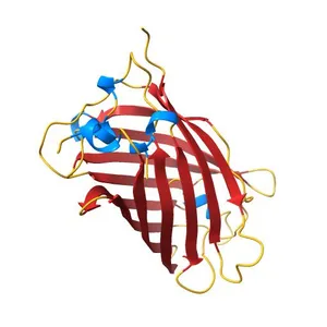 The oxidized state of a redox sensitive variant of green fluorescent protein