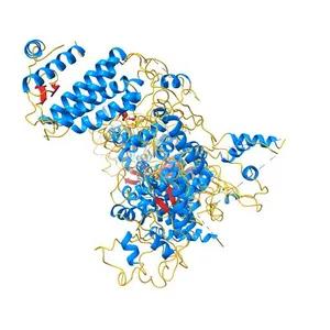 Cryo-EM structure of human Dicer and its complexes with a pre-miRNA substrate