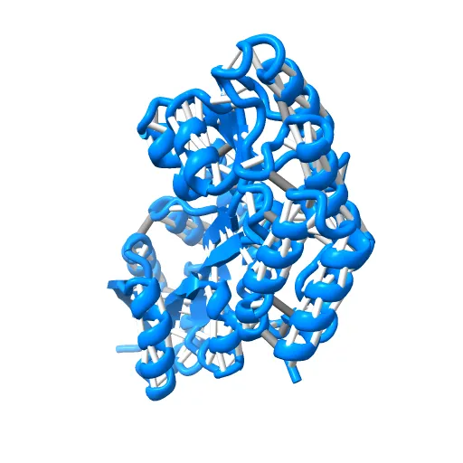 Thermotoga maritima maltotriose binding protein, ligand free form — Фото 2 из 13