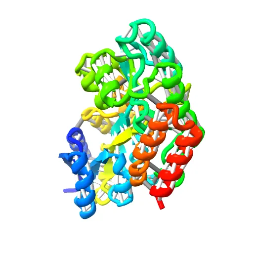 Thermotoga maritima maltotriose binding protein, ligand free form — Фото 3 из 13