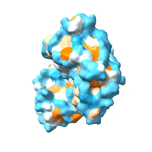 Thermotoga maritima maltotriose binding protein, ligand free form — Фото 4 из 13