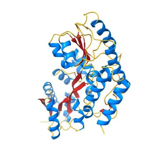 Thermotoga maritima maltotriose binding protein, ligand free form — Фото 5 из 13