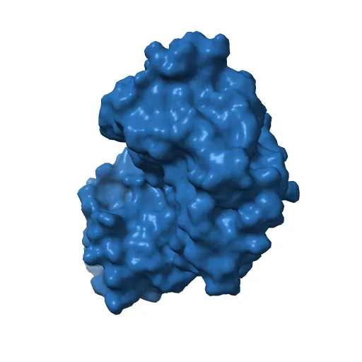 Thermotoga maritima maltotriose binding protein, ligand free form — Фото 6 из 13