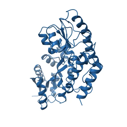 Thermotoga maritima maltotriose binding protein, ligand free form — Фото 8 из 13