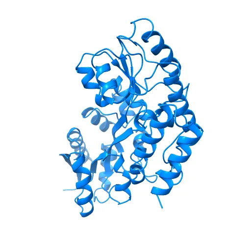 Thermotoga maritima maltotriose binding protein, ligand free form — Фото 9 из 13