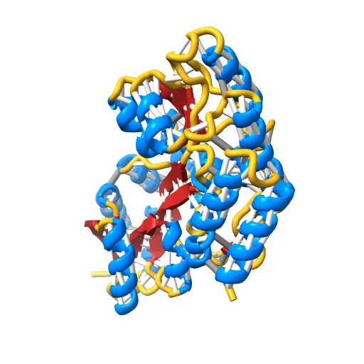 Thermotoga maritima maltotriose binding protein, ligand free form — Фото 10 из 13
