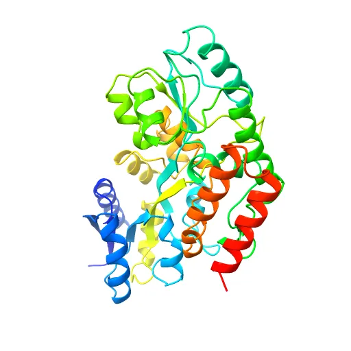 Thermotoga maritima maltotriose binding protein, ligand free form — Фото 11 из 13