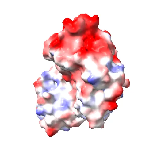 Thermotoga maritima maltotriose binding protein, ligand free form — Фото 12 из 13