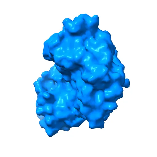 Thermotoga maritima maltotriose binding protein, ligand free form — Фото 13 из 13