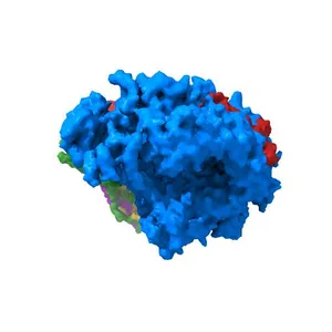 Cryo-EM structure of the human SAGA coactivator complex (TRRAP, core)