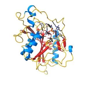 Crystal structure of catalytic domain of human beta1,4galactosyltransferase 7 in closed conformation in complex with manganese and UDP