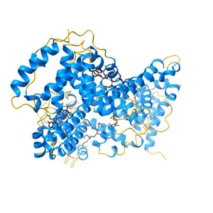 Structure of human serum albumin with S-naproxen and the GA module
