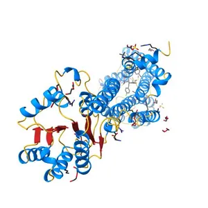 High-resolution crystal structure of the human CB1 cannabinoid receptor