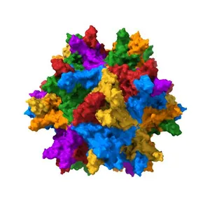 Crystal structure of IBDV T1 virus-like particle reveals a missing link in icosahedral viruses evolution