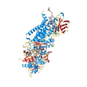 The electron transferring flavoprotein/butyryl-CoA dehydrogenase complex from Clostridium difficile