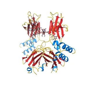 Complex between G0 version of an Fc bound to a minimized version of Protein A called Mini-Z