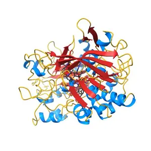 CHOLESTEROL OXIDASE FROM STREPTOMYCES HIS447ASN MUTANT