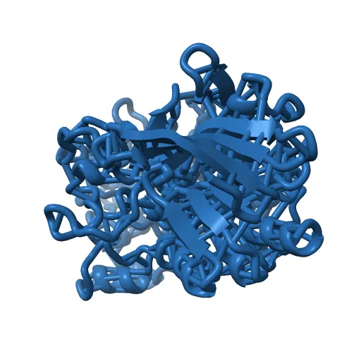CHOLESTEROL OXIDASE FROM STREPTOMYCES HIS447ASN MUTANT — Фото 2 из 13