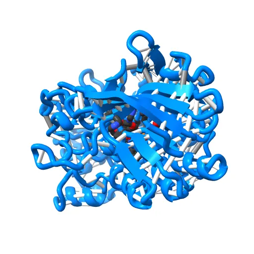 CHOLESTEROL OXIDASE FROM STREPTOMYCES HIS447ASN MUTANT — Фото 3 из 13