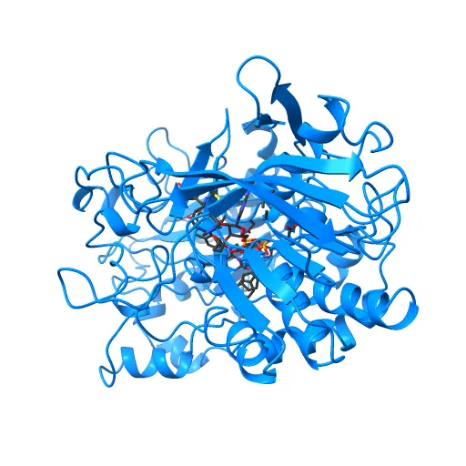 CHOLESTEROL OXIDASE FROM STREPTOMYCES HIS447ASN MUTANT — Фото 4 из 13