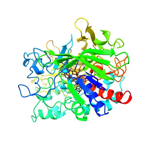 CHOLESTEROL OXIDASE FROM STREPTOMYCES HIS447ASN MUTANT — Фото 5 из 13