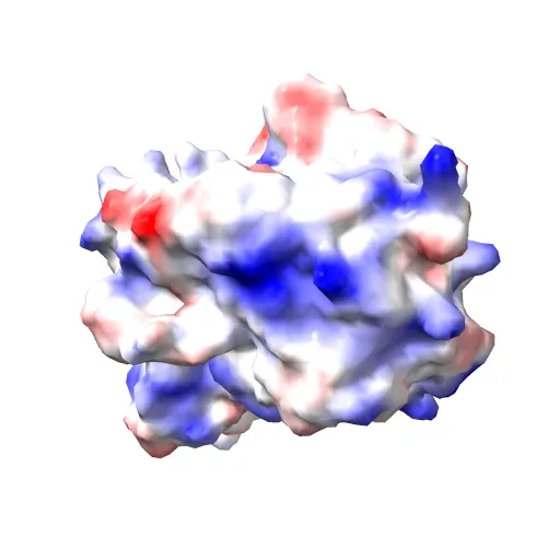 CHOLESTEROL OXIDASE FROM STREPTOMYCES HIS447ASN MUTANT — Фото 6 из 13