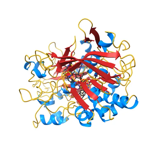 CHOLESTEROL OXIDASE FROM STREPTOMYCES HIS447ASN MUTANT — Фото 7 из 13