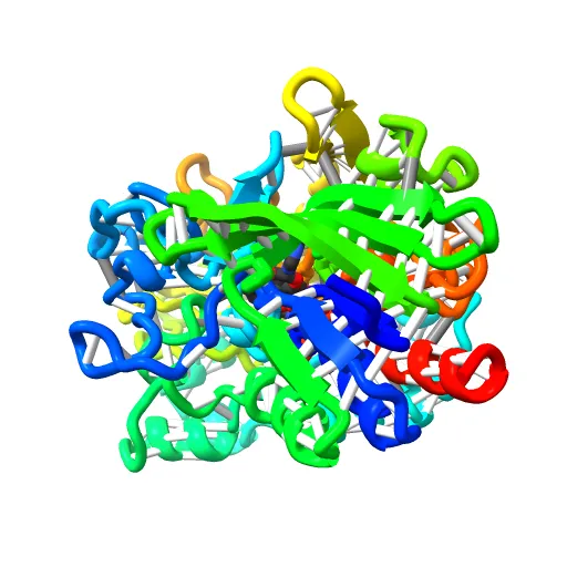 CHOLESTEROL OXIDASE FROM STREPTOMYCES HIS447ASN MUTANT — Фото 8 из 13