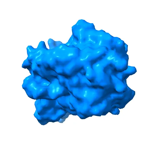CHOLESTEROL OXIDASE FROM STREPTOMYCES HIS447ASN MUTANT — Фото 9 из 13