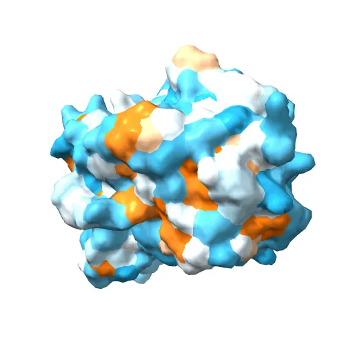 CHOLESTEROL OXIDASE FROM STREPTOMYCES HIS447ASN MUTANT — Фото 10 из 13