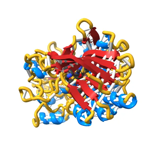 CHOLESTEROL OXIDASE FROM STREPTOMYCES HIS447ASN MUTANT — Фото 11 из 13