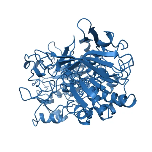 CHOLESTEROL OXIDASE FROM STREPTOMYCES HIS447ASN MUTANT — Фото 12 из 13
