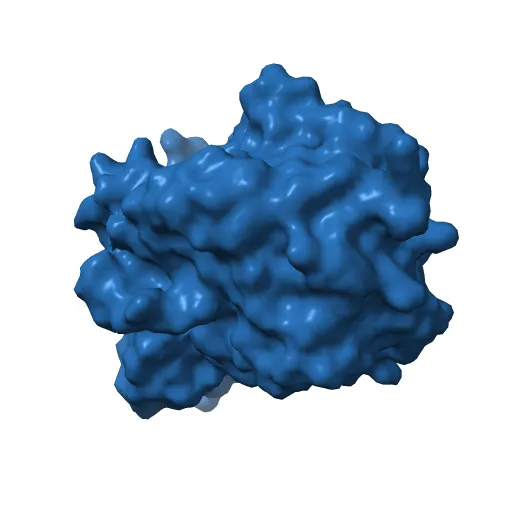 CHOLESTEROL OXIDASE FROM STREPTOMYCES HIS447ASN MUTANT — Фото 13 из 13
