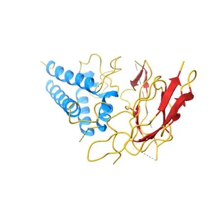 structure of interleukin-2 with its alpha receptor
