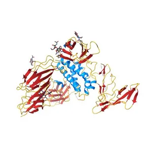 cytokine receptor complex