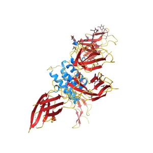 Structure of the Interleukin-15 quaternary complex