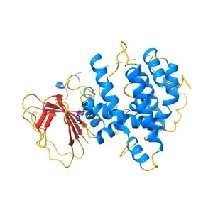 Crystal Structure of Rhodobacter sphaeroides SigE in complex with the anti-sigma ChrR