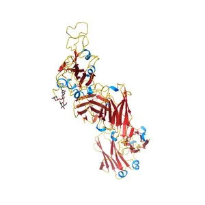 Crystal structure of SARS-CoV-2 Spike RBD in complex with MW06 Fab