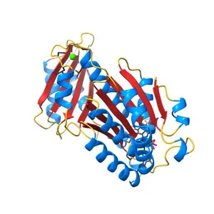 Staphylococcus aureus FtsZ 12-316 G196S