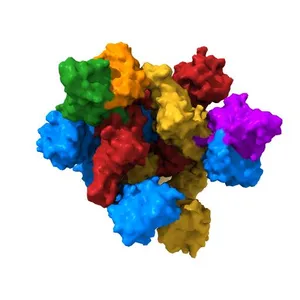 Structure of the SARS-CoV-2 spike glycoprotein in complex with the 47D11 neutralizing antibody Fab fragment