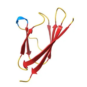The crystal structure of the SARS-CoV-2 ORF7a ectodomain